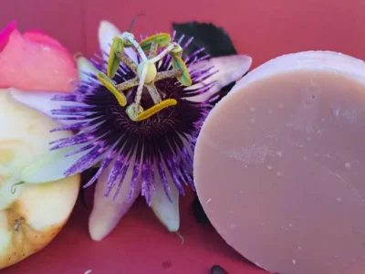 Savon-Naturel-Artisanal-Special-Visage-Versailles-Normand-Lait-de-Chevre-BIO-Huile-de-pepins-de-Pomme3