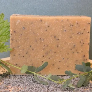 Savon Exfoliant BIO Gommage corps